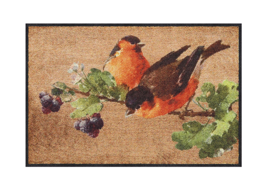 Kynnysmatto Nosy Robin 50x75 cm