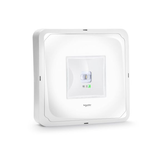 Schneider Electric Exiway Smartbeam Activa Turvavalaisin 3 h, pinta-asennus Ympärisäteilevä linssi