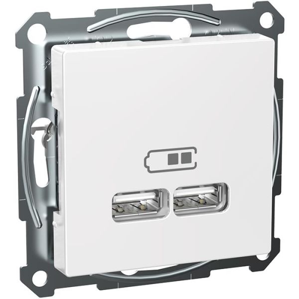Schneider Electric Exxact WDE002926 Latausasema 2 USB, valkoinen