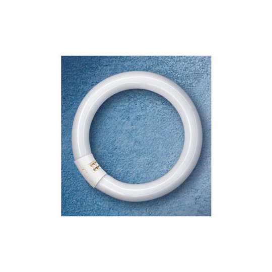Osram LUMILUX T9 C Rengasloistelamppu G10Q 40W/840