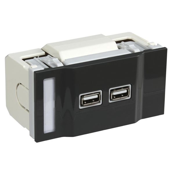 Schneider Electric INS64217 USB-laturi 2 x 1 A Harmaa
