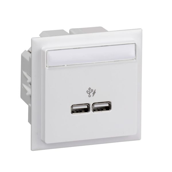 Schneider Electric INS60520 USB-laturi 2 lähtöä valkoinen