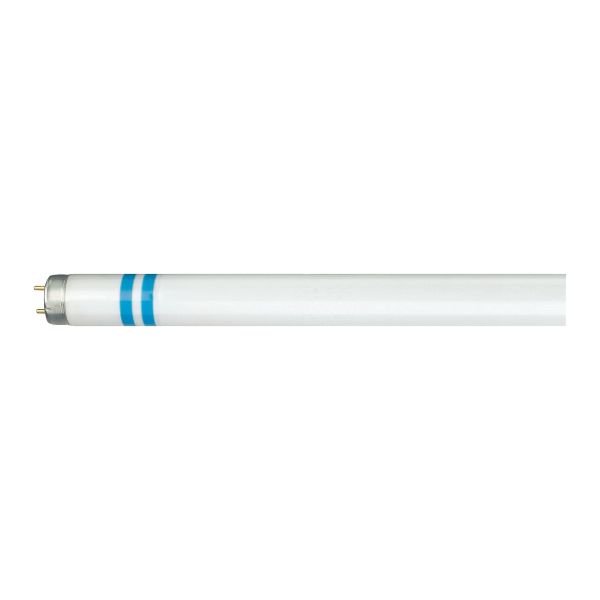 Philips MASTER TL-D Secura Loisteputki G13 Kylmä valkoinen, 3200 lm, 36 W
