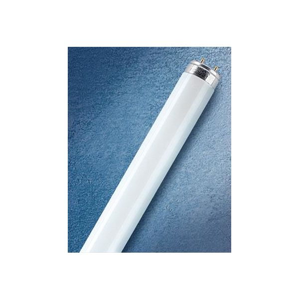Osram LUMILUX T8 Loisteputki 15W/840