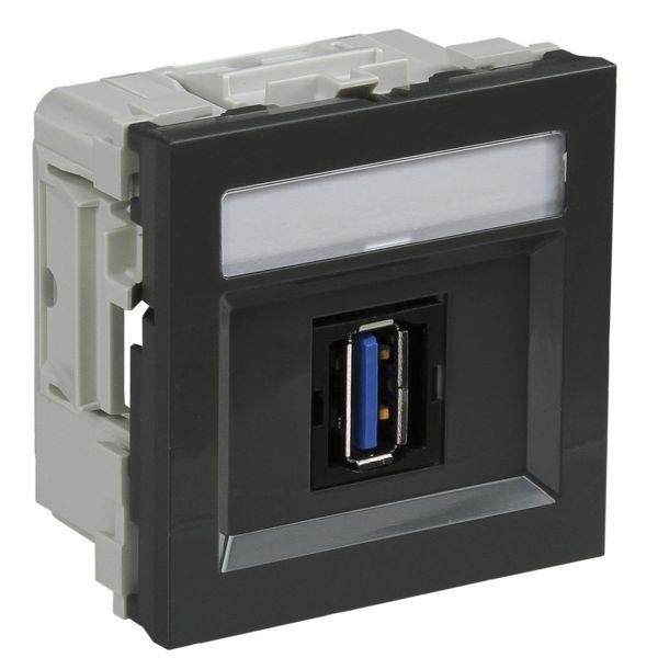 Schneider Electric INS64215 Multimedialiitäntä USB, merkkikilvellä Harmaa