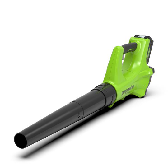 Greenworks G24ABK2 Lehtipuhallin sis. akun ja laturin