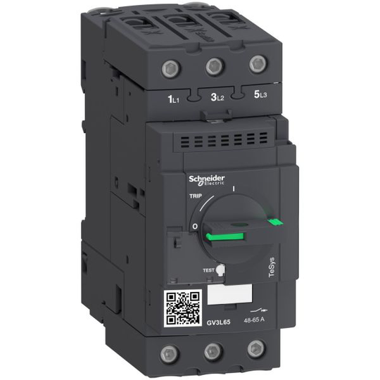 Schneider Electric GV3L65 Virtakatkaisin 65 A