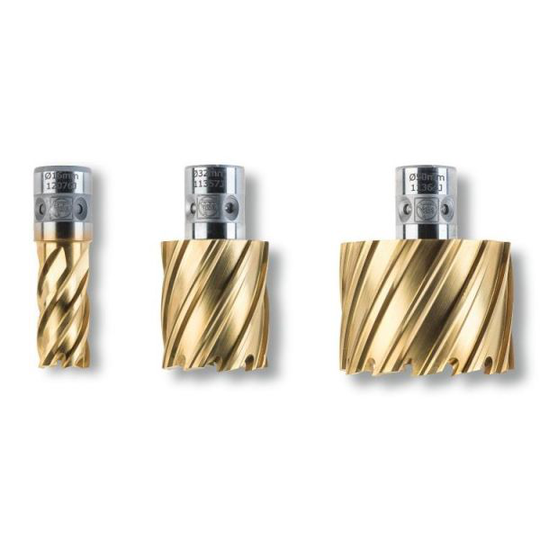 Fein HSS Dura Kalvain QuickIN, 50 mm Ø12 mm