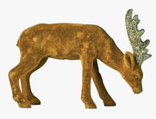 Velvet brown deer koriste ruskea