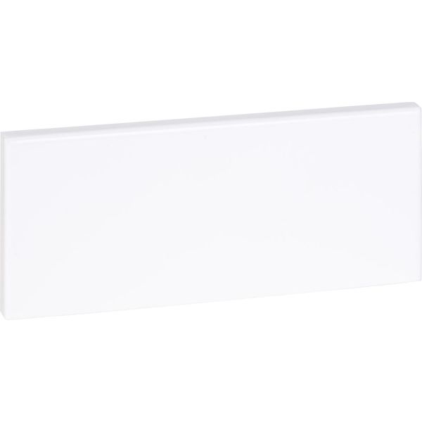 Schneider Electric INS5544601 Päätykappale 72 x 170 mm, epäsymmetrinen