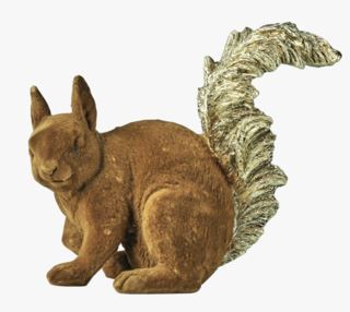 Squirrel tail koriste ruskea