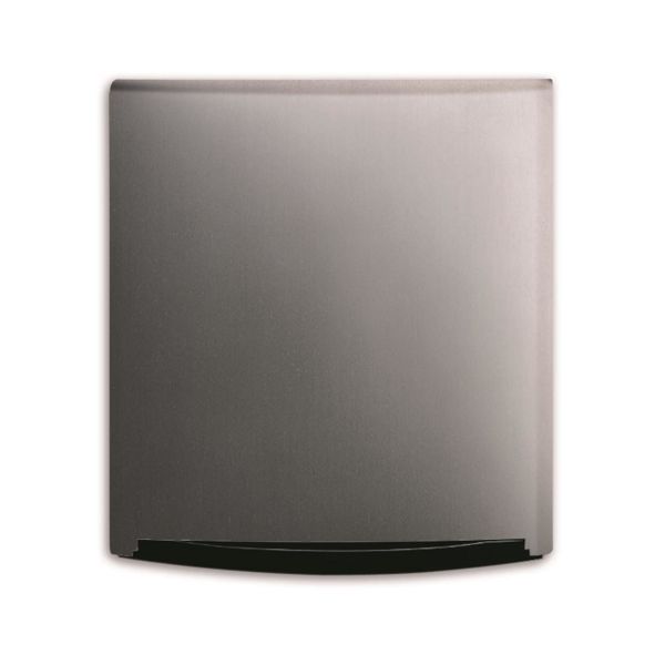 ABB Busch-triton 1710-0-3406 Peitekansi Platina