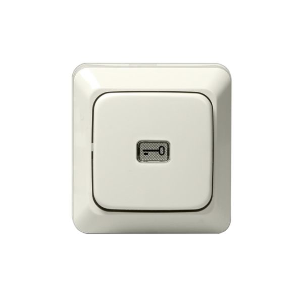 ABB 1466AK4 Painike pinta-asennettava, IP20