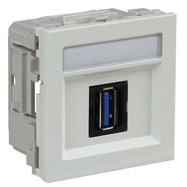Schneider Electric INS64214 Multimedialiitäntä USB, merkkikilvellä valkoinen