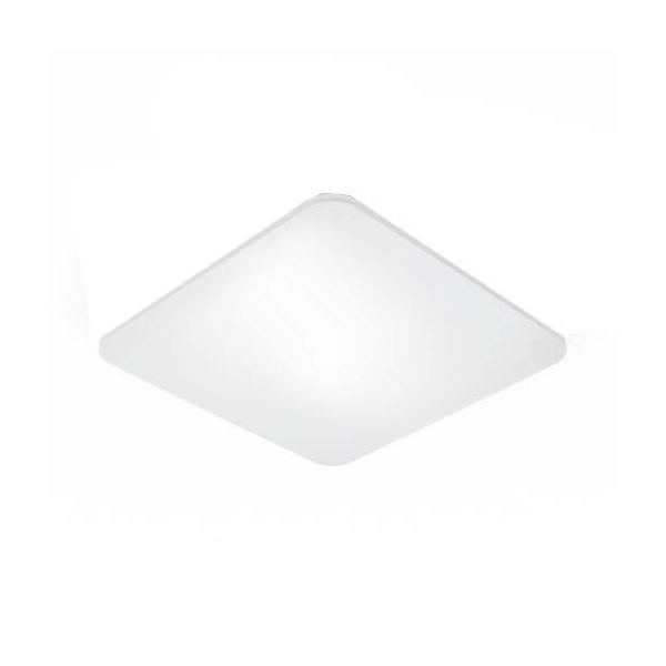 Steinel RS PRO LED Q1 Anturivalaisin 4000K Valkoinen