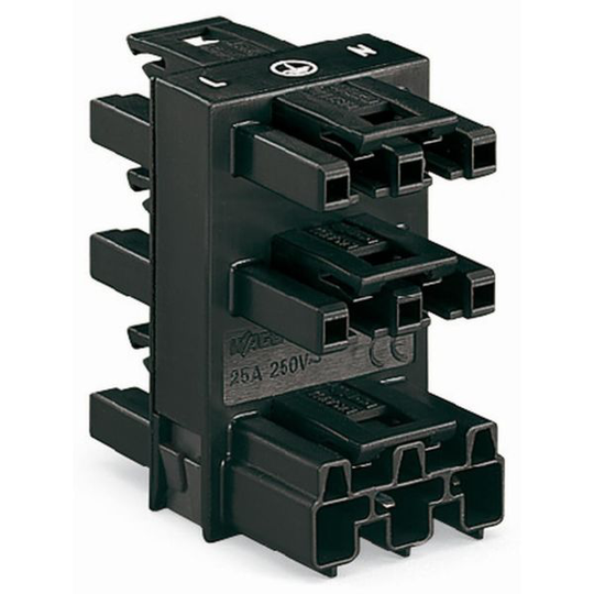 Wago 770-608 Haaroitin musta 1 x uros / 5 x naaras