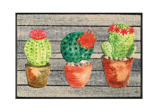 Matto JARDIN DE CACTUS 50x75 cm
