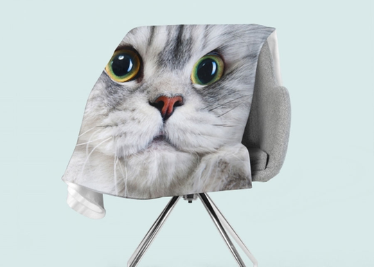 Torkkupeitto Gray Cat 130x150 cm