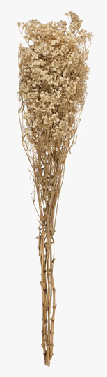 Gypsophila kukka valkoinen