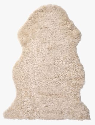 Curly lampaantalja luonnonväri