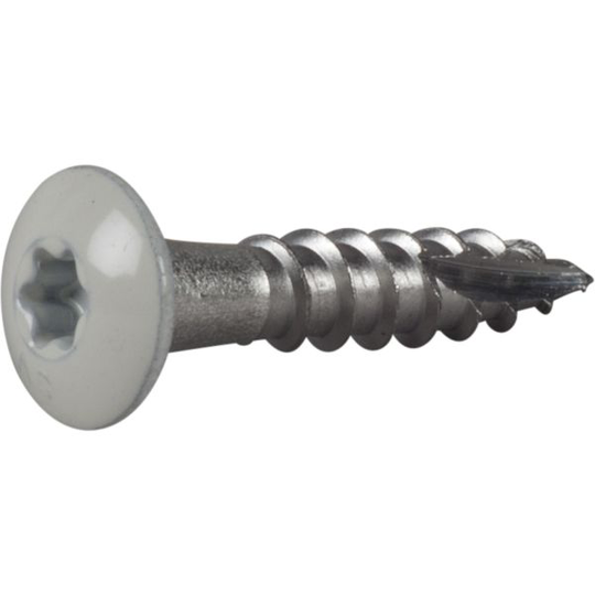 ESSVE 490205 Kourukoukkuruuvi 4,8 mm Ø, valkoinen, TX20 25 mm, 20 kpl